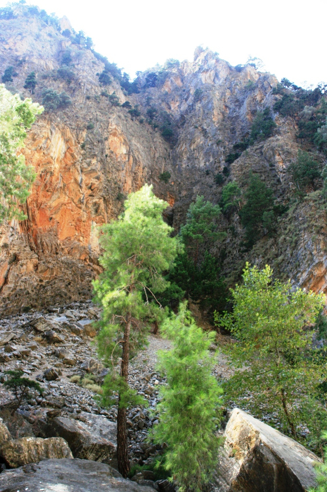 Kreta, Wąwóz Samaria