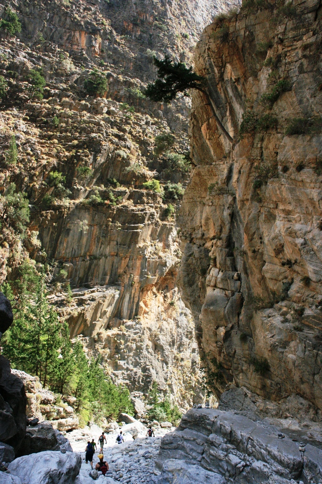Kreta, Wąwóz Samaria
