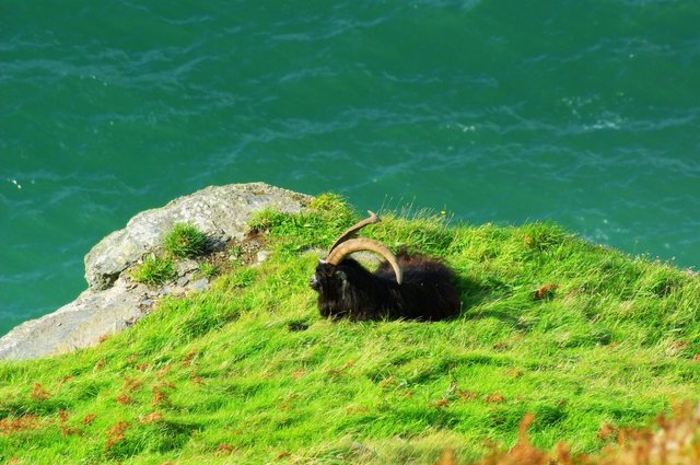 Valley of Rocks