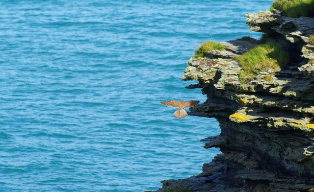 Tintagel
