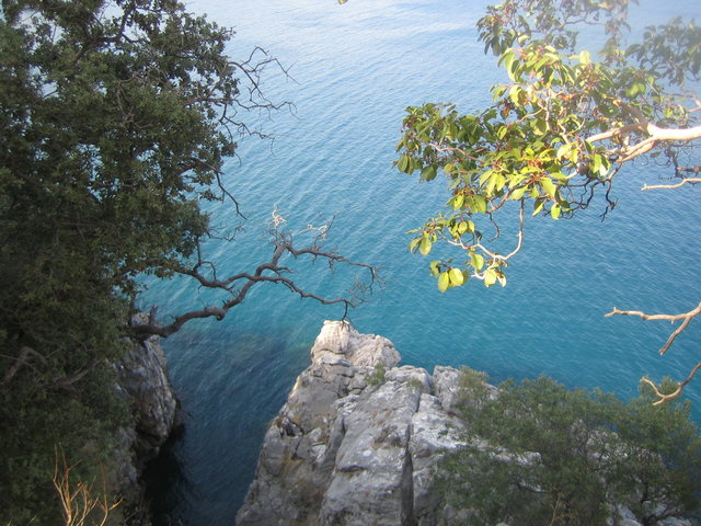 51725 - Olimpos