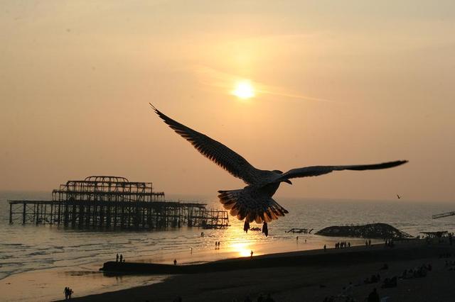 Seven Sisters