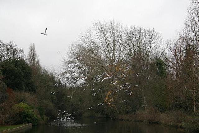 Londyn, Mitcham