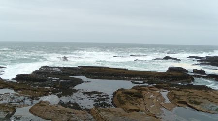 klify w Kilkee, IRLANDIA