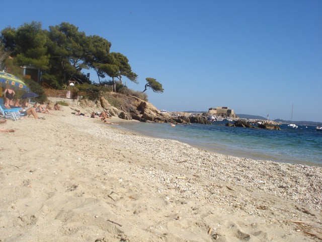 Dsc00203  50  