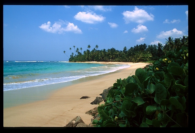 Sri lanka