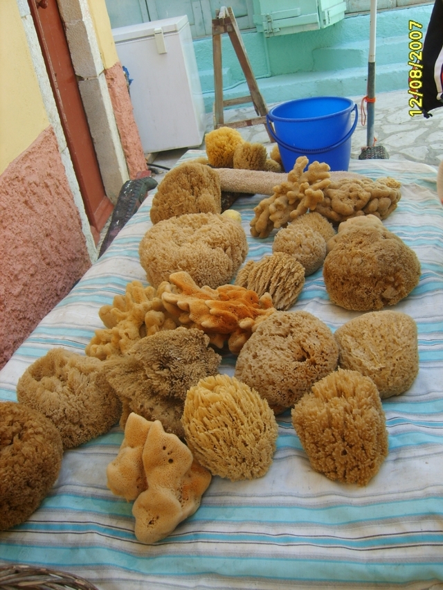 Wyspa Symi- naturalne gąbki