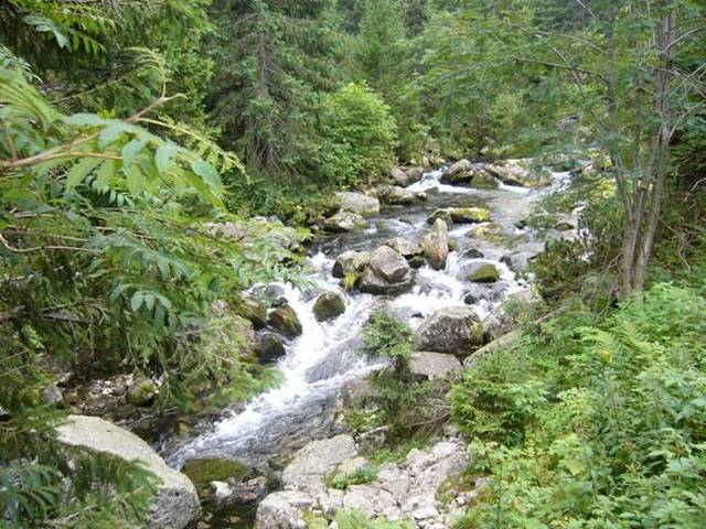 W drodze na Morskie Oko