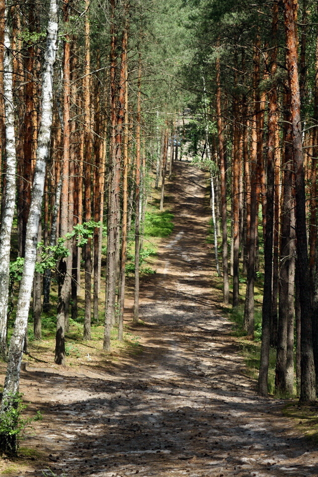Puszcza Kampinoska - w drodze do Palmir