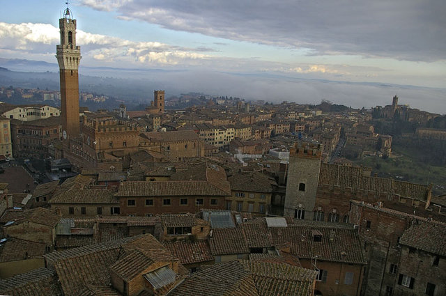 Siena3