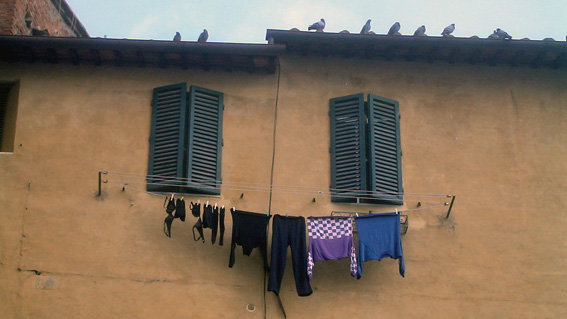 Siena4