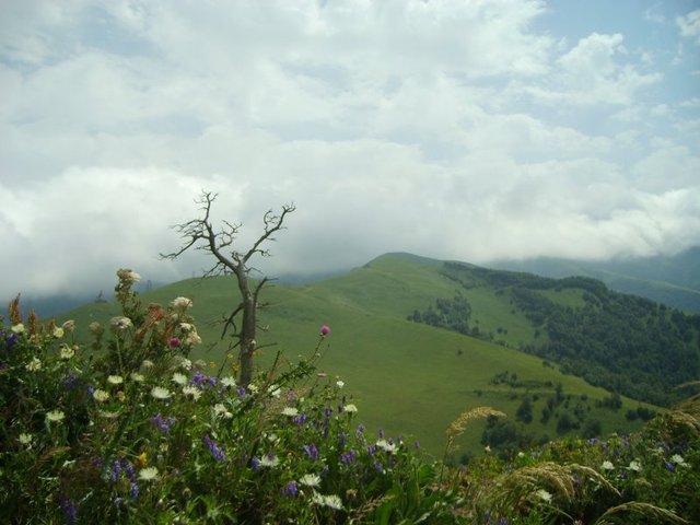 okolice Borjomi