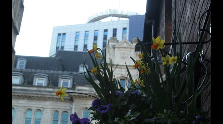 Cardiff – Wielka Brytania