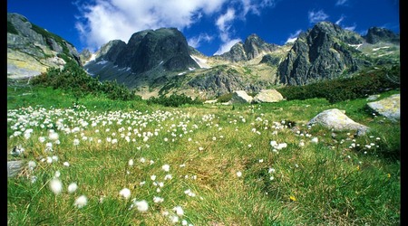 Slowacja – Słowacja