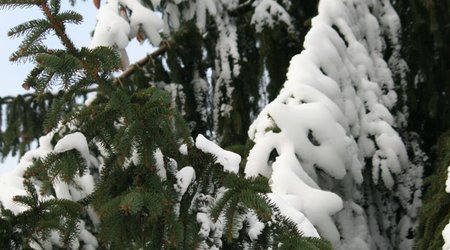 54856 - Wisła Nowy Rok na stoku Cieńków Wisła Malinka – Polska