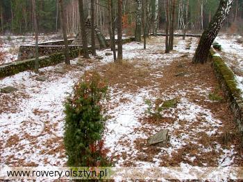 368 pesy 20051203