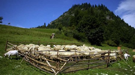 Pieniny – Polska