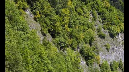 Spływ Dunajcem – Pieniny, Polska