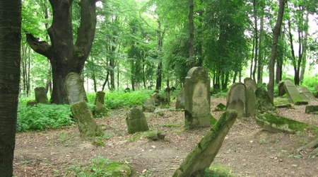 Kirkut w Lesku (Bieszczady) – Lesko, Polska