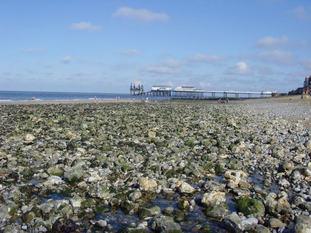 Cromer 1