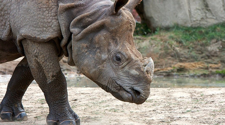 ZOO – Warszawa, Polska