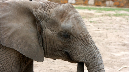 ZOO – Warszawa, Polska