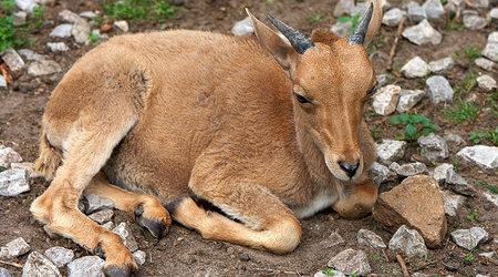 ZOO – Warszawa, Polska