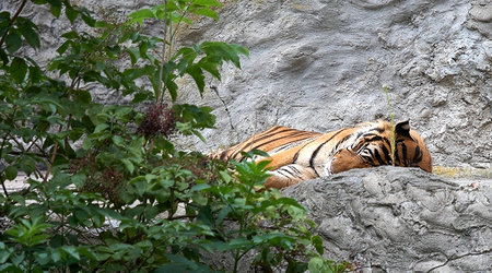 ZOO – Warszawa, Polska