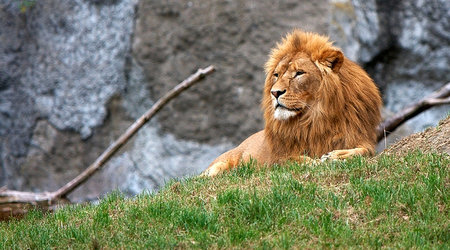 ZOO – Warszawa, Polska
