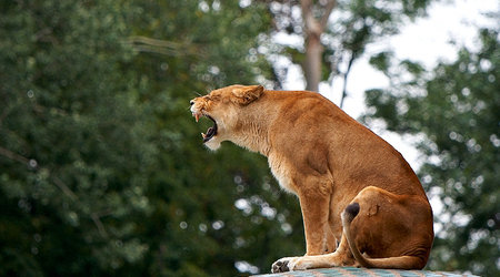 ZOO – Warszawa, Polska