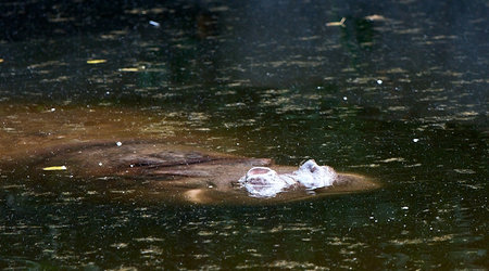ZOO – Warszawa, Polska