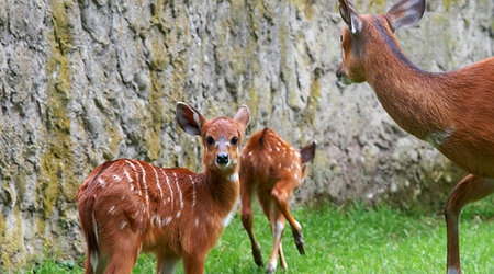 ZOO – Warszawa, Polska