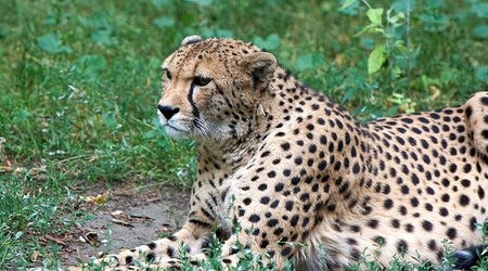 ZOO – Warszawa, Polska