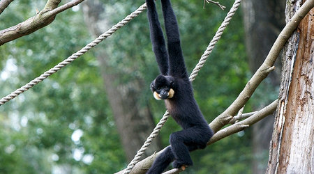ZOO – Warszawa, Polska