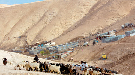 Beduini – Jerycho, Izrael