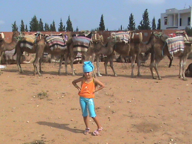 Obraz 077