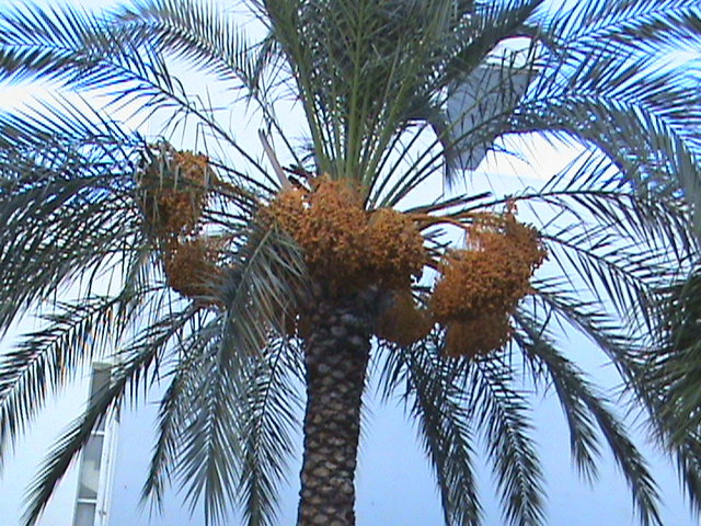 Obraz 009