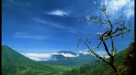 Indonezja – Sempol