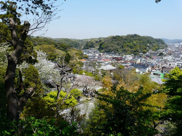 P1030321