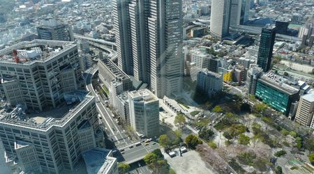 Jeszcze Tokio "z lotu ptaka" – Japonia