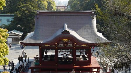62478 - Japonia