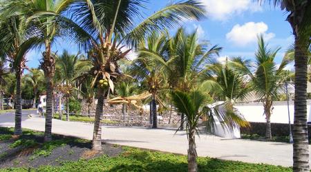 Wieloryb :) – Lanzarote, Hiszpania