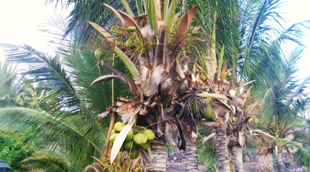 Palmy – Lanzarote, Hiszpania