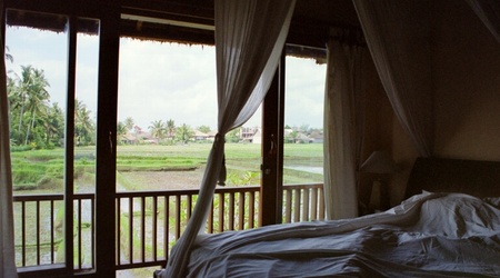 ryżowe plantacje za oknem – Ubud, Indonezja