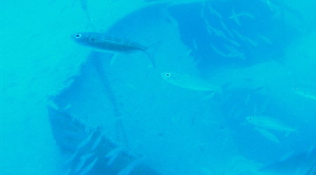 wrak statku – Lanzarote, Hiszpania