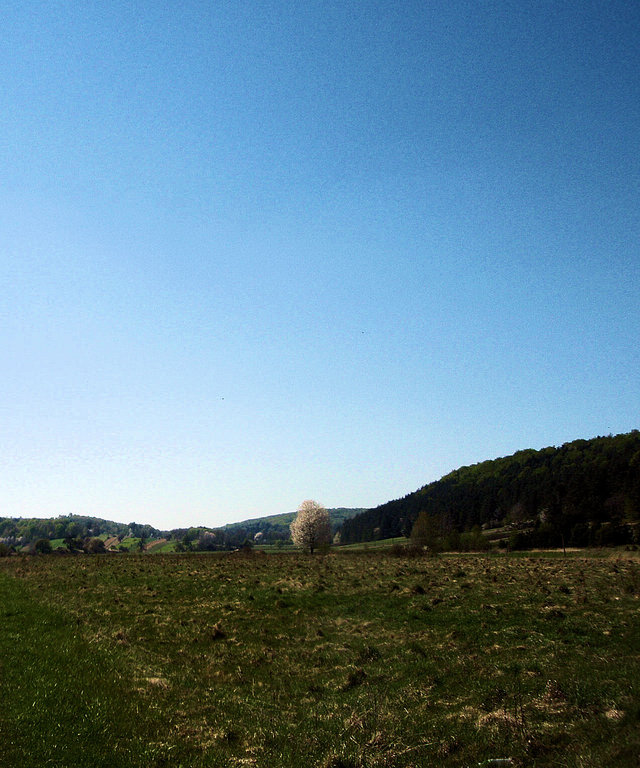 P4260003