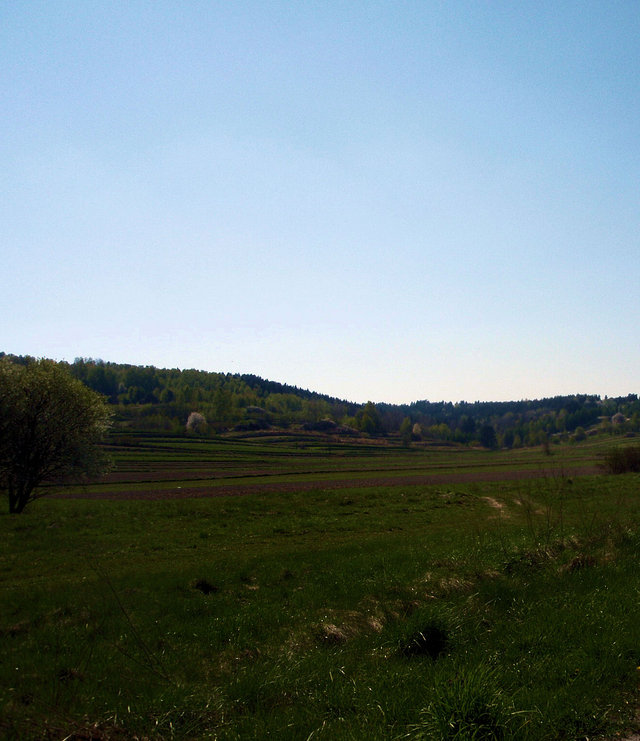 P4260005