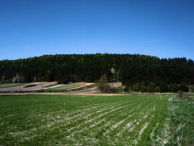 P4260008
