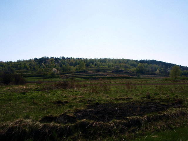 P4260009