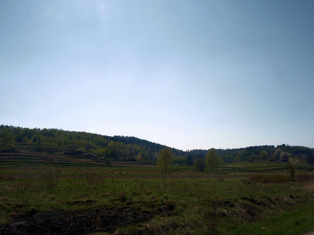 P4260010